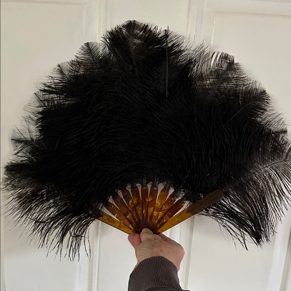 Source Unknown Accessories - Black Ostrich Feather Art Deco Fan. Vintage. Victorian.  Stunning. PRICE DROP
